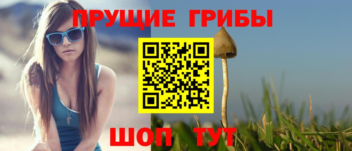Спасск-Дальний  где найти   Вход с VPN  Псилоцибиновые грибы Psilocybine cubensis 